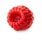The Raspberry